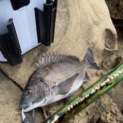 ネバーギブアップ⁉þ…