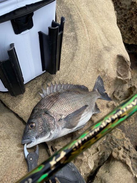 ネバーギブアップ⁉þ…