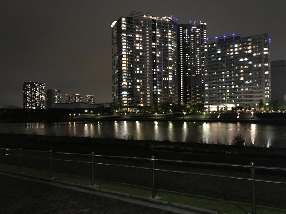 バチ抜けシーバス