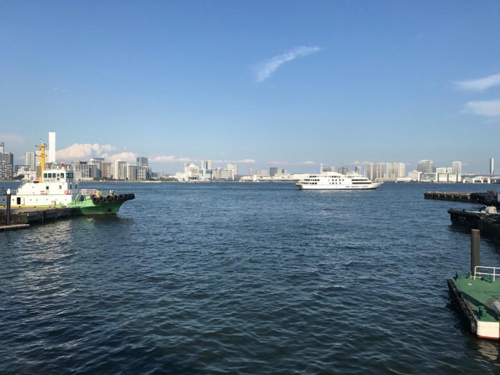 バチ見えないけどバチパターン