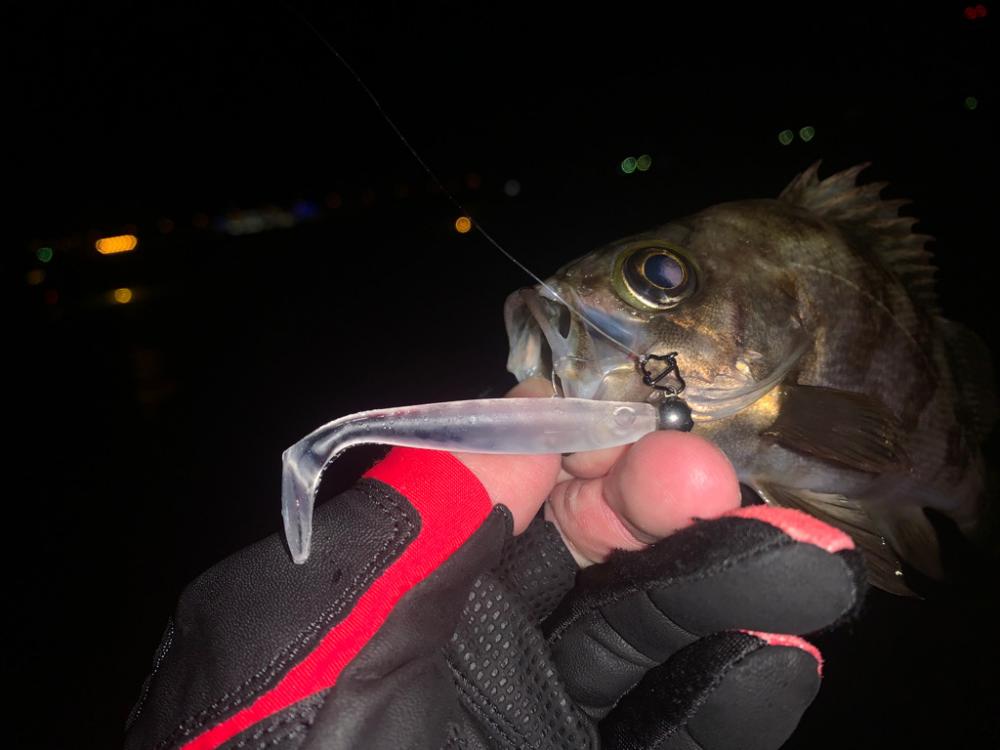 ボトム調査へ〜