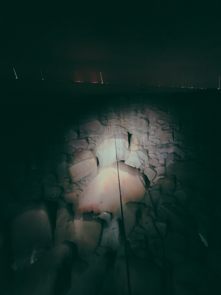 フロートゲーム