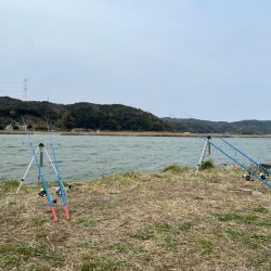 投げ釣りでスズキ狙ってきました！