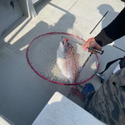 経ヶ岬沖ジギング　タイラバ