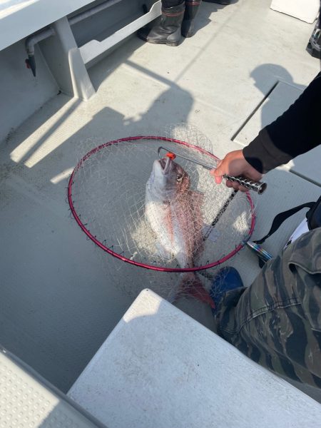 経ヶ岬沖ジギング　タイラバ