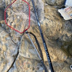 クロスライドブレードでハマチ!