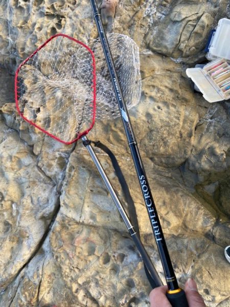 クロスライドブレードでハマチ!