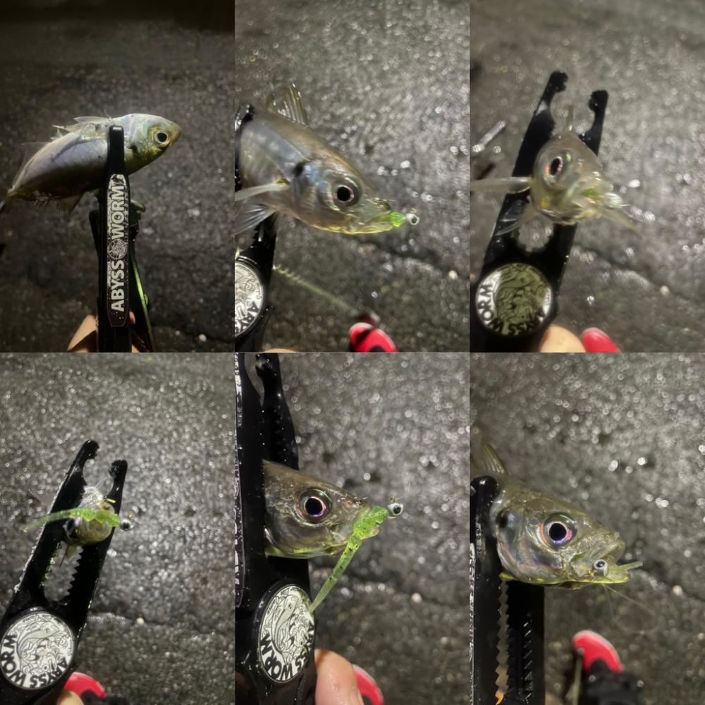 雨が止んでる事に気づいた時のウズウズ