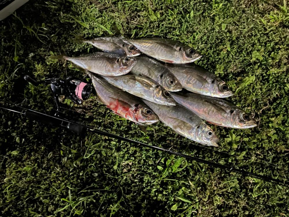 ジグ単deアジング！先週の反撃✌︎(‘ω’)✌︎