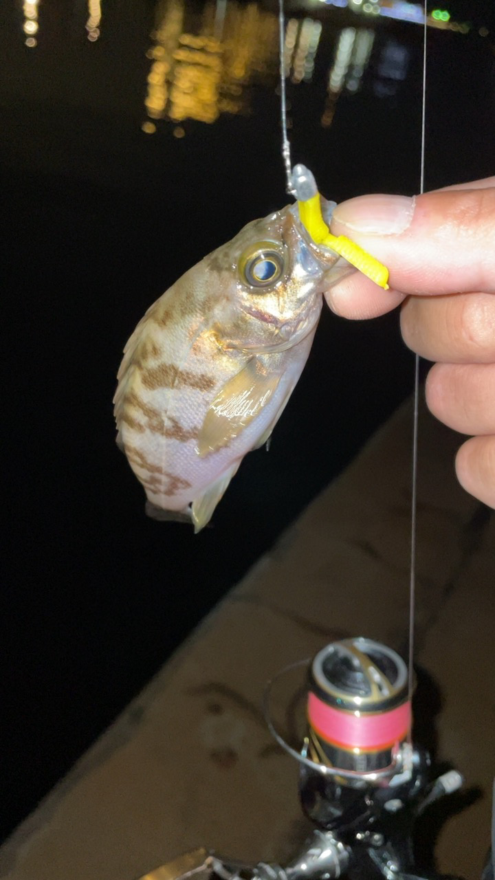 雨後はやっぱり渋い？