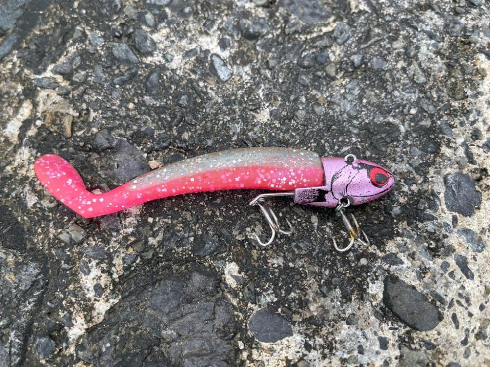 青物狙いのはずなのに…