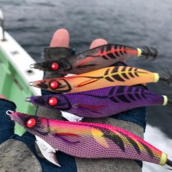 餌木蔵ベイトフェザーネオグローでキャスティングエギング！