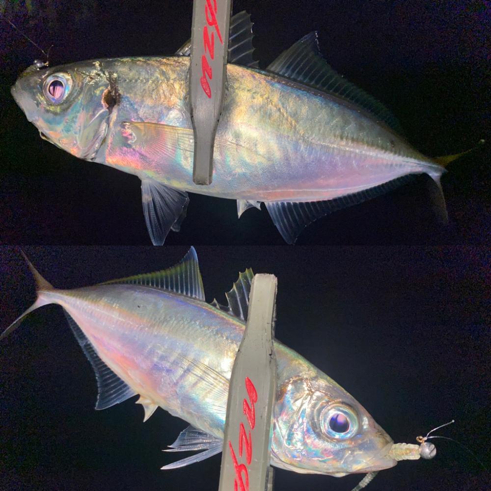 久々のホームグラウンドわ