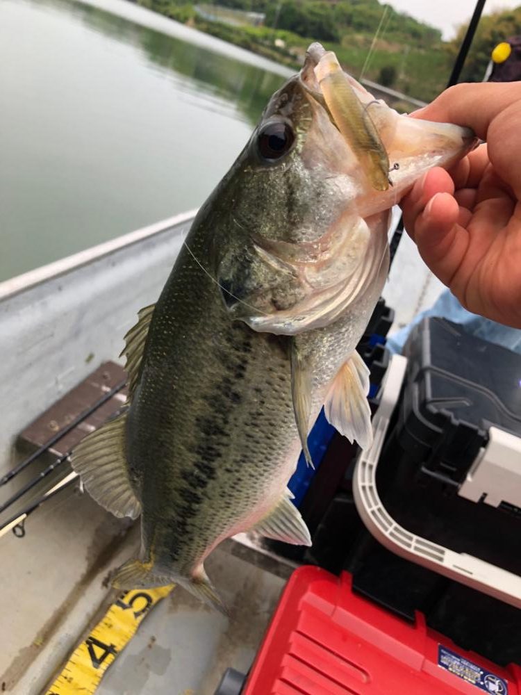 桜池でプチ春爆!?