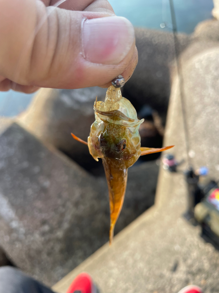 情報から行ってみました