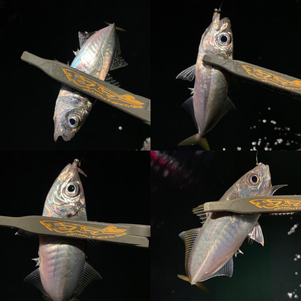 固定観念はダメですね。