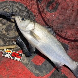 キャスティング