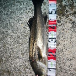 2022ライトゲーム第11戦