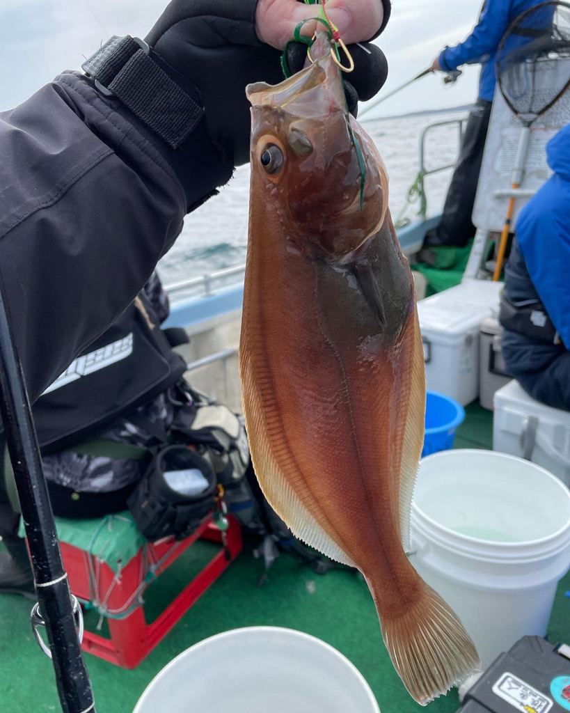 今シーズン初のオフショア釣行