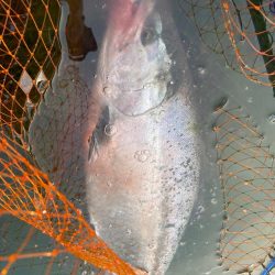 北海道サクラマス釣行(日本海)