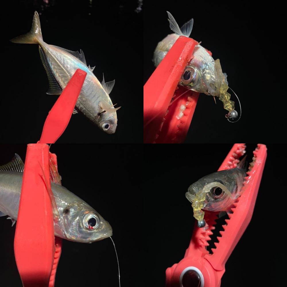 久しぶりの釣り場で