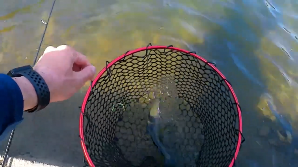 初フィッシングレイク高宮！