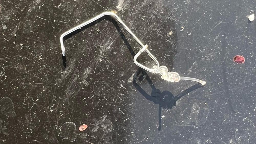 ルアー丸呑みブリ！！