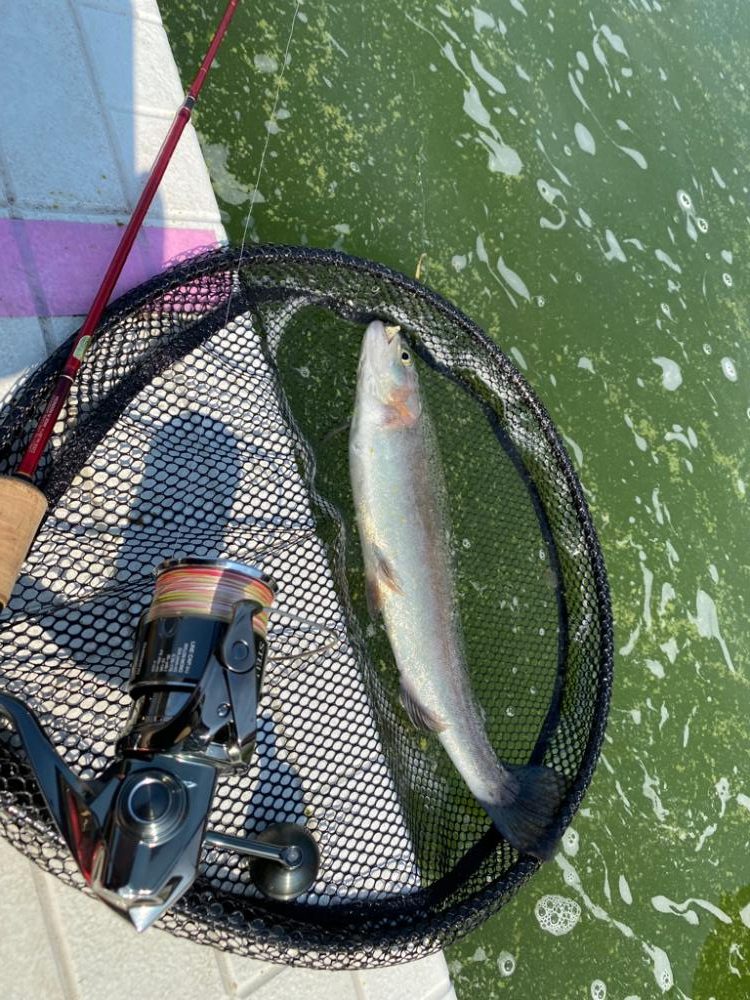 服部緑地ウォーターランド