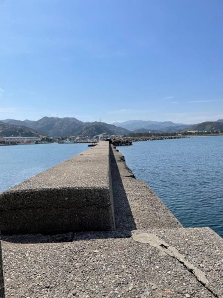 コウイカ釣れてるらしいのでエギングへ