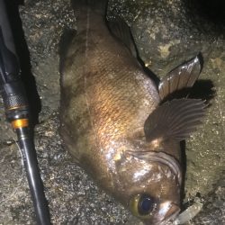 久しぶりの良い釣りでした