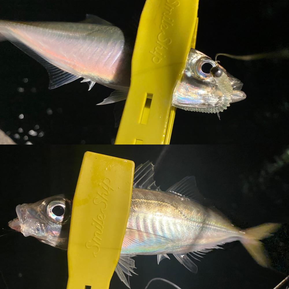 ポイントに合った釣り方