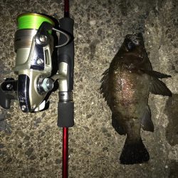 自作スーパーボールフロートリグ