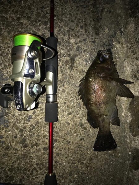 自作スーパーボールフロートリグ