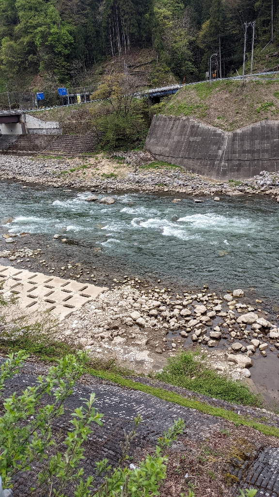 今年初の本流釣り