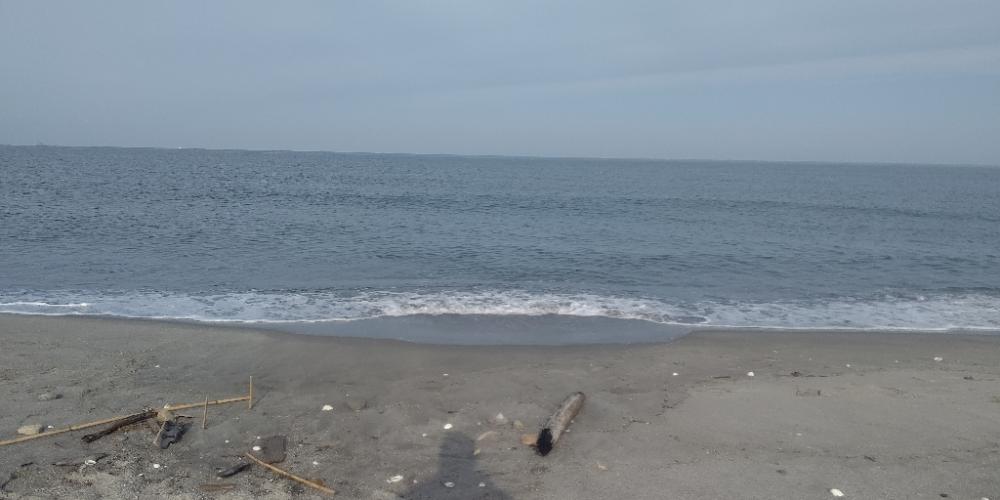 サーフでイトヒキアジ