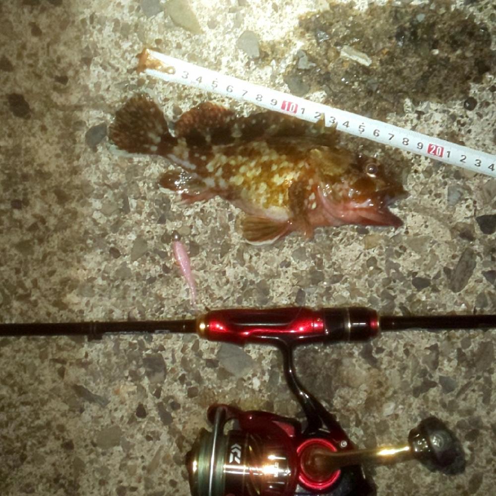 ダイソーエギ蓄光チューン