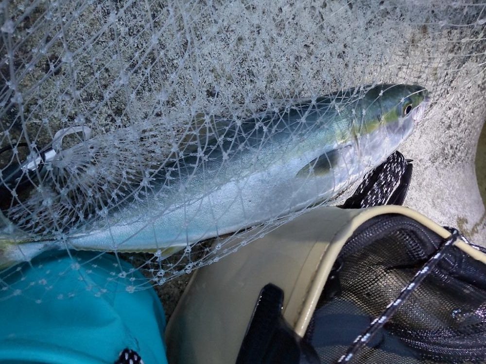 ショアプラッキング