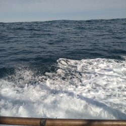 渋い中ボウズは回避