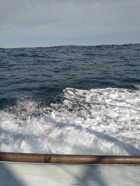 渋い中ボウズは回避