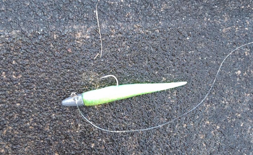 雨が降ったらリバーシーバス