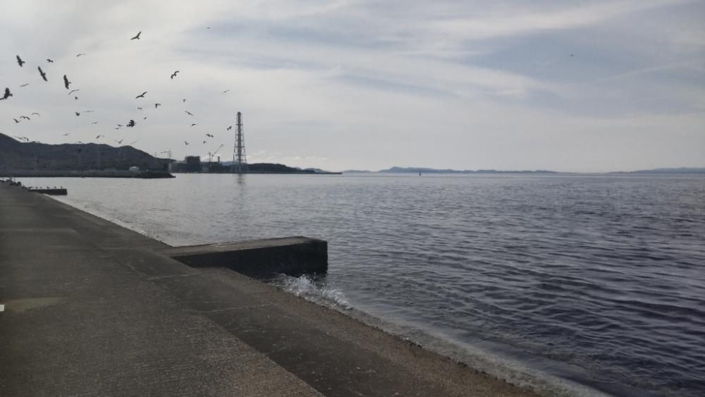 深日港に行ってみた