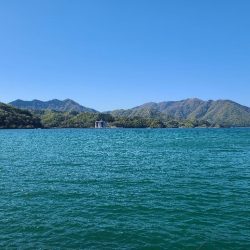 以外なやつが！？