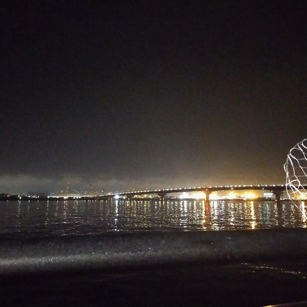 ウキ釣り、ショアジギング不発