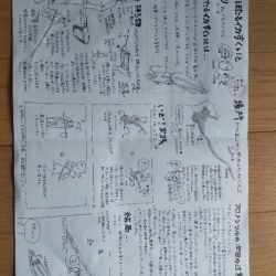 イカでカレイを釣る