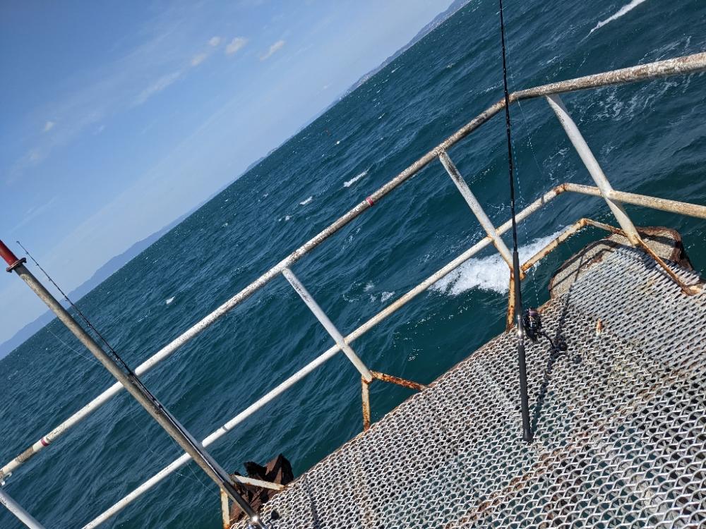 エクスチューン＆ステラSW6000XG鱗付けのつもりが…