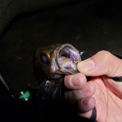 明るくなる前に