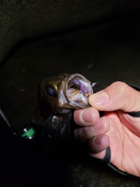 明るくなる前に