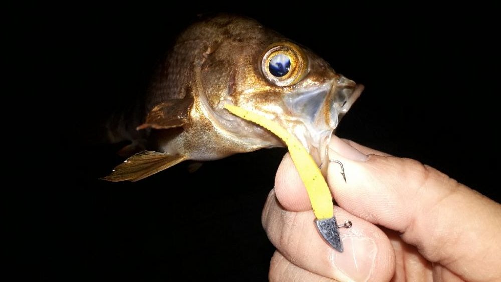 淡路島をランガンルアー