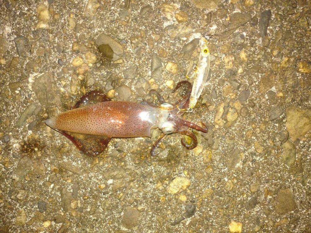 潮の流れの中で