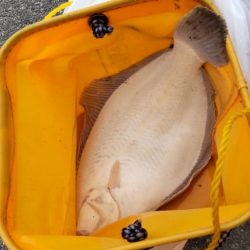 釣りに行くなら持ってけチョイヘッド！